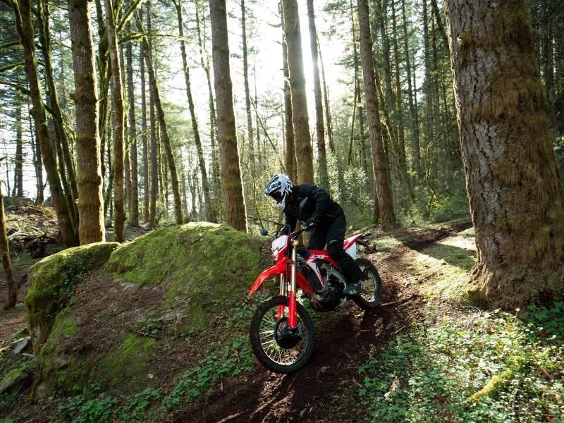 Dirtpaw the Pup photo