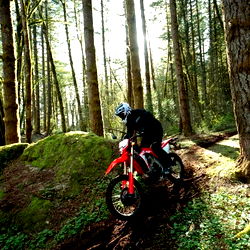 Dirtpaw the Pup photo