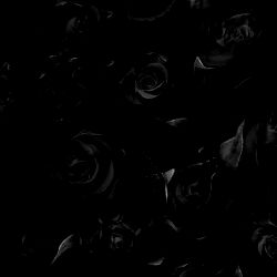 Amanda 🫶🏼 photo