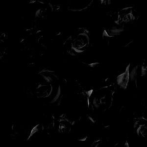 Amanda ๐ซถ๐ผ photo