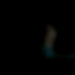 Carp Studio ๐ป๐ณ photo