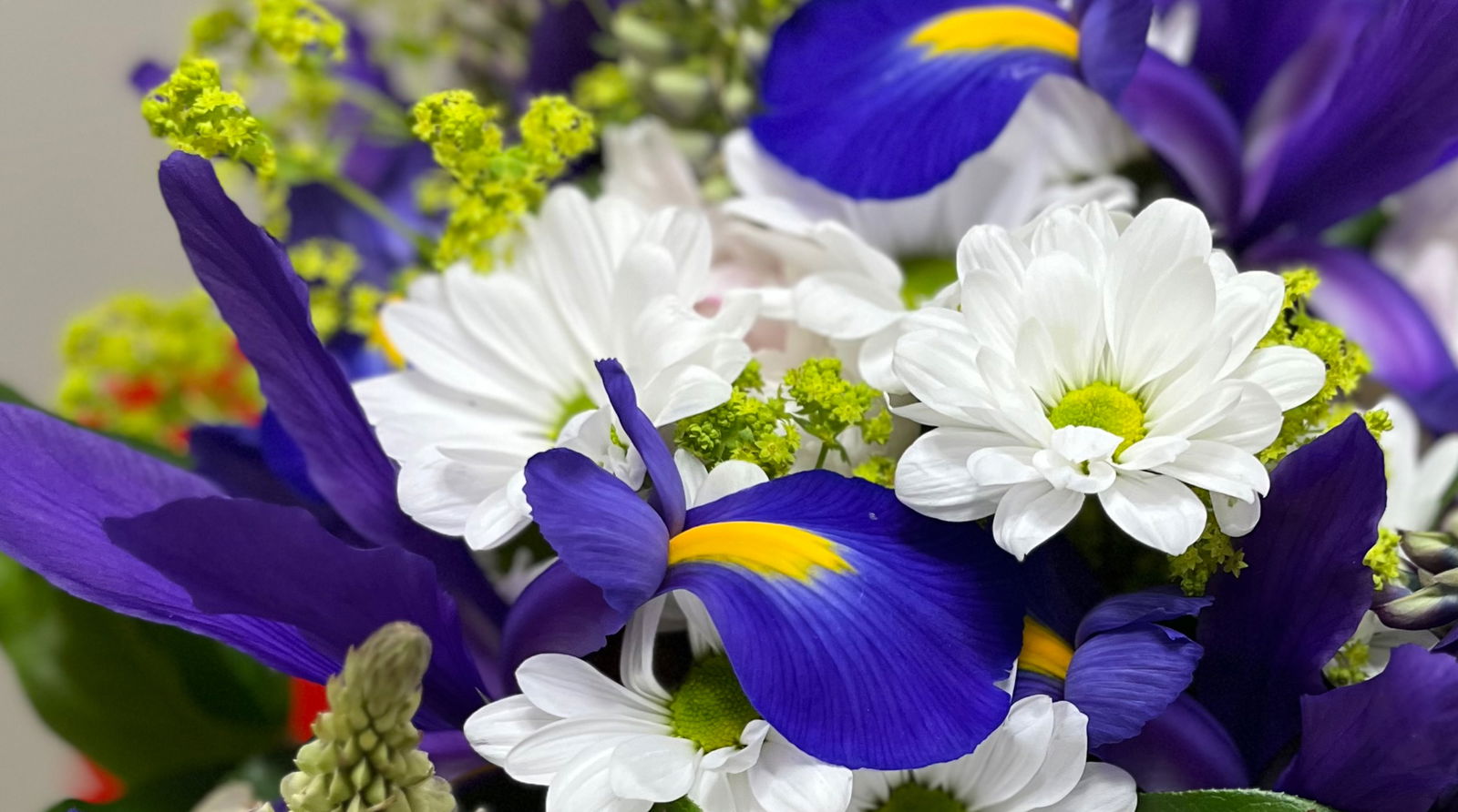 allhandsondeck photo