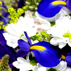 allhandsondeck photo