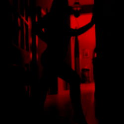 Mistress Mia's Stylish Maltese Adventure