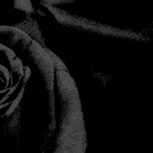 ๐ธ๐๐๐๐๐๐๐๐ ๐ฅ photo