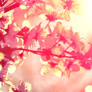 DeepThroatQueen91 photo