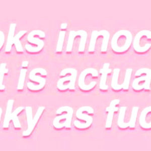 Brownie ๐๐ฆ photo