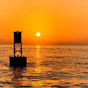 Italiancrushguy photo