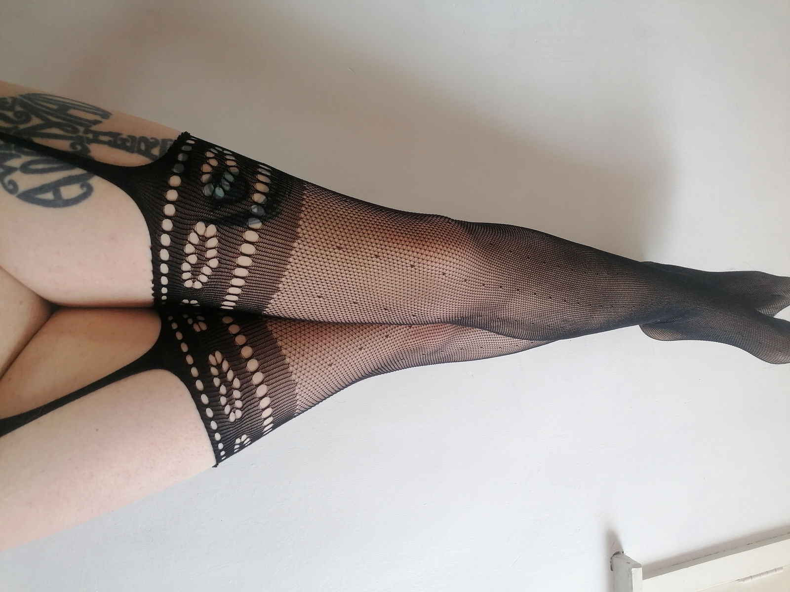 My little foxie photo