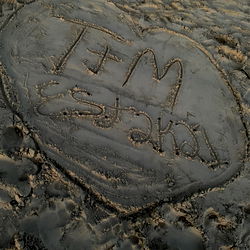 I'm on vacation at a sandy beach!