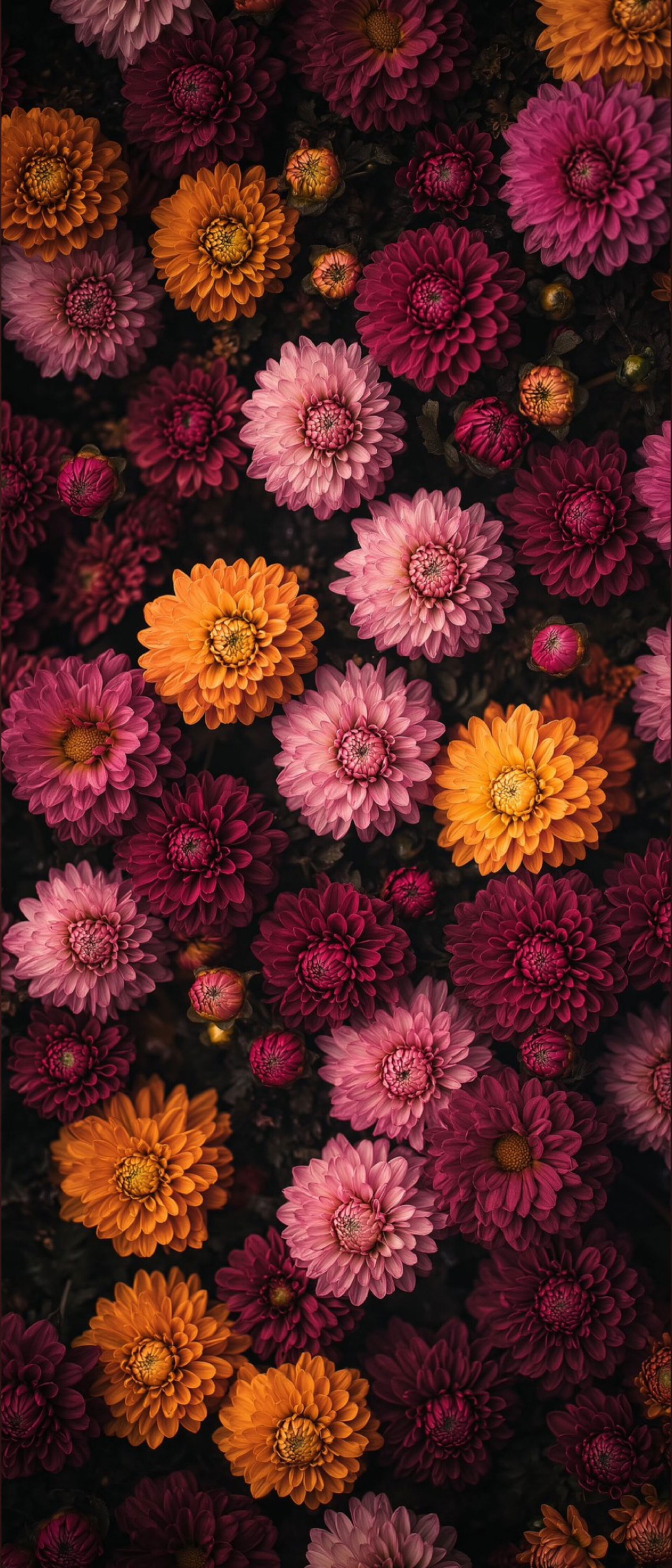 INDIGO 🖤💦 photo