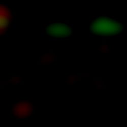 DJ Bae ๐ง๐ photo