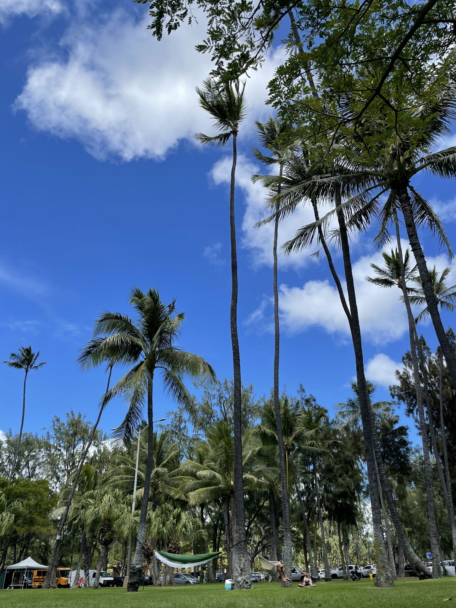 Jeffrey Babcock photo