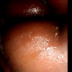 Thesneakylink33 - Intimate Photos