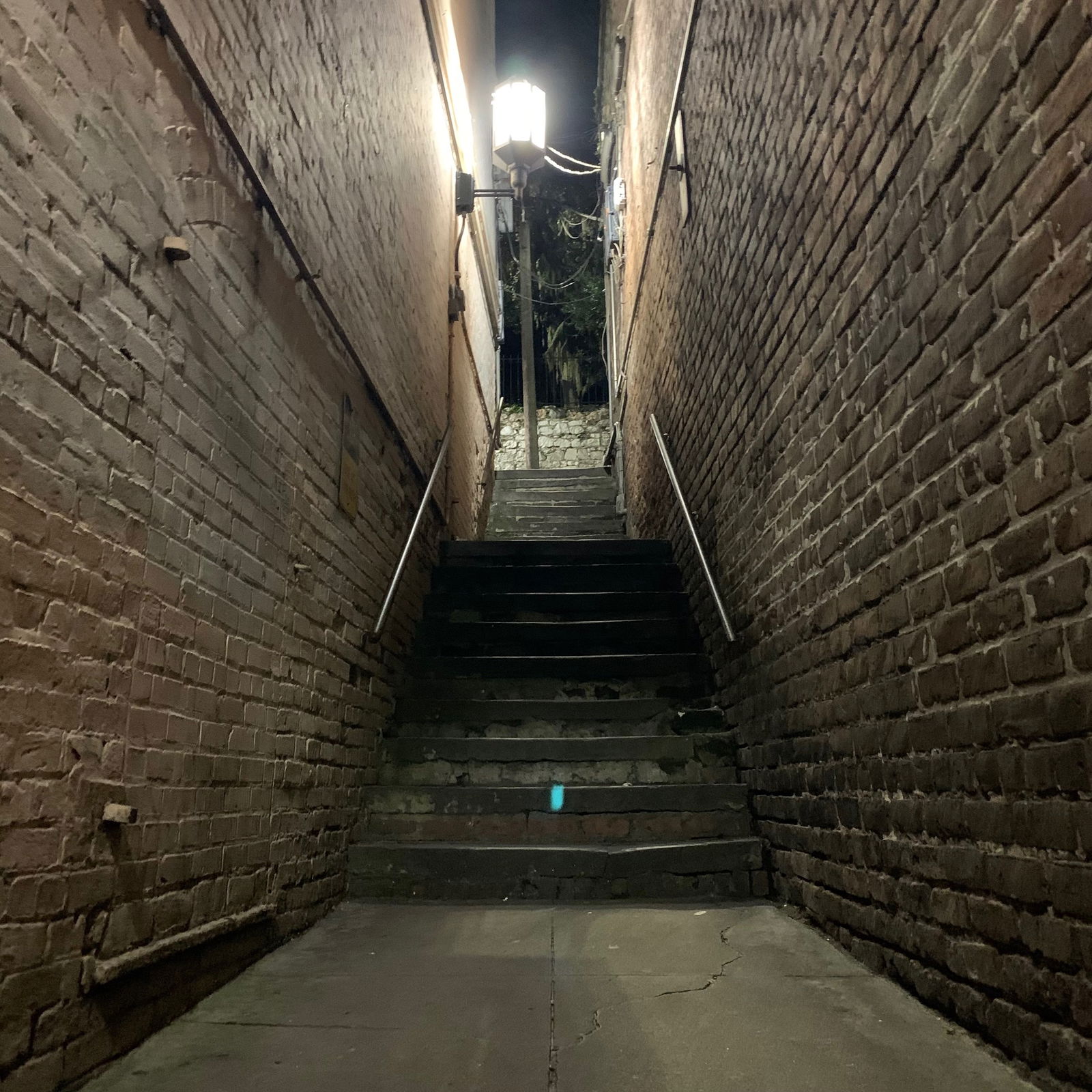 Lady Olivia Lou photo