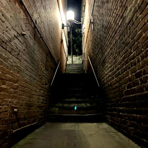 Lady Olivia Lou photo