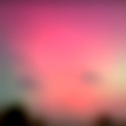 TheNaughtyChannel ๐ฆ photo