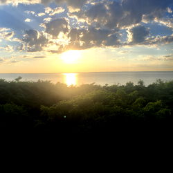 Erika Kibblehouse photo