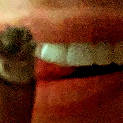 k𝖊𝖞𝖕𝖕𝖊r photo