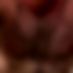 Antonio Gambino (Bush King) photo