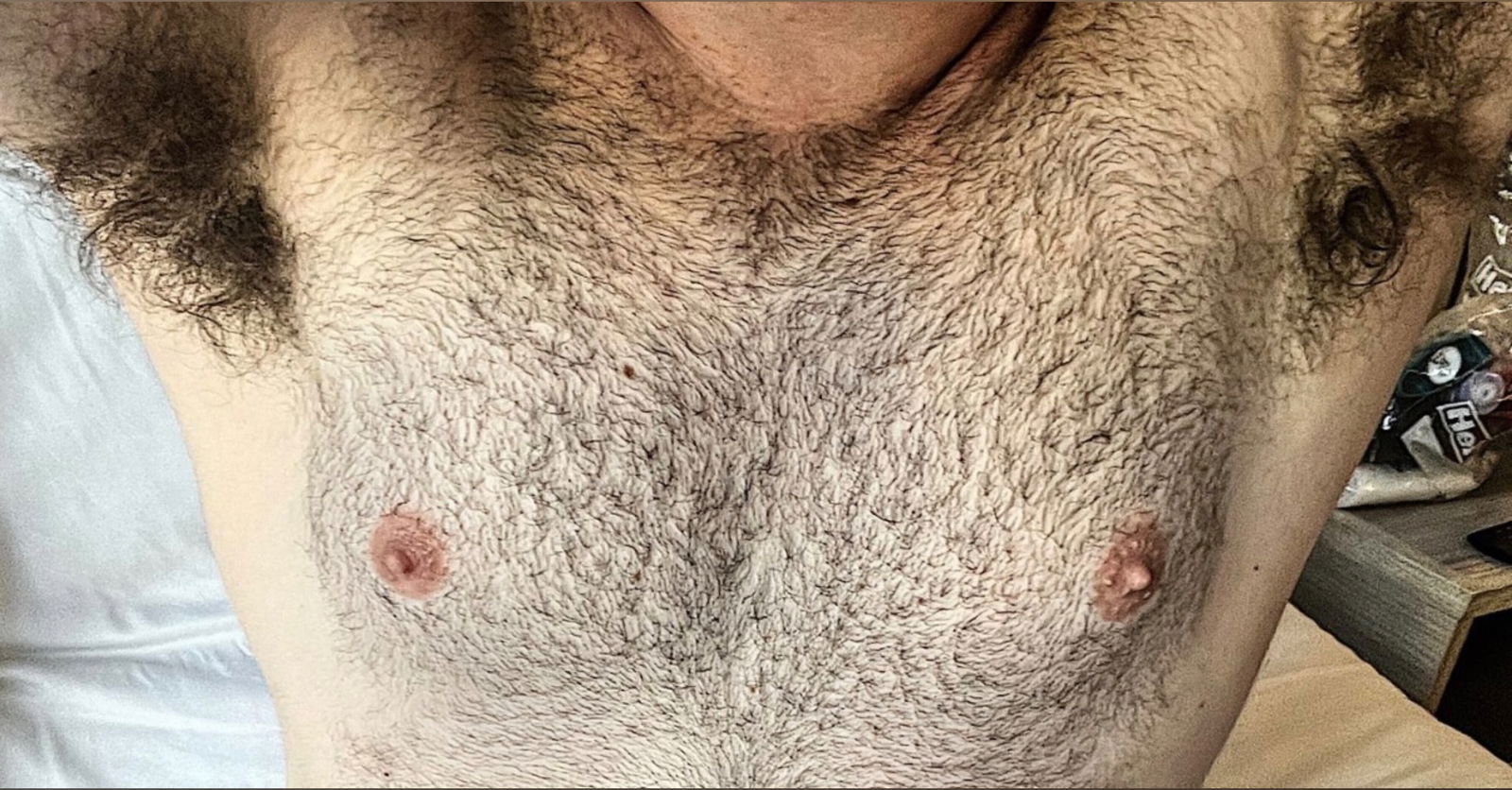 Antonio Gambino (Bush King) photo