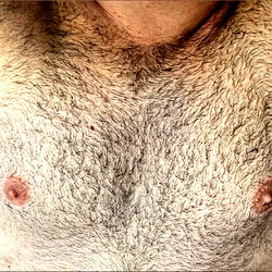 Antonio Gambino (Bush King) photo