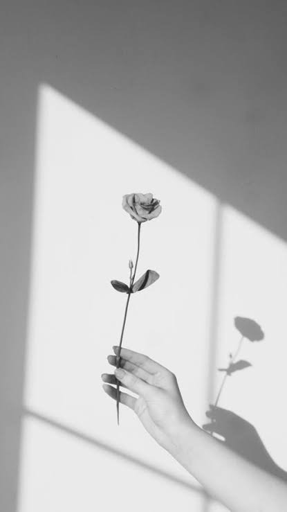 Doctores pirujos photo