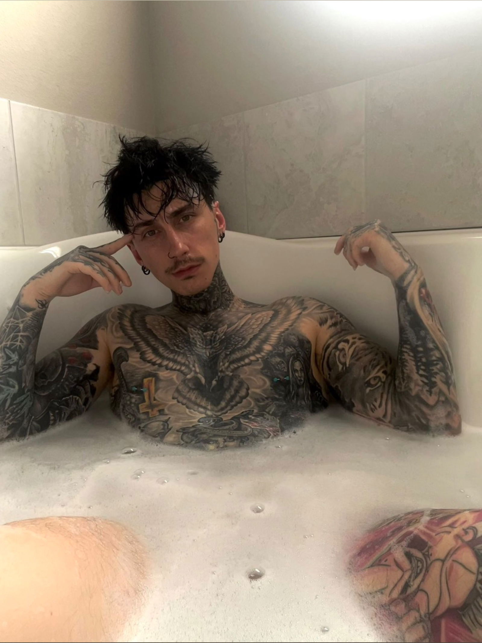 Lord.Blackbird photo