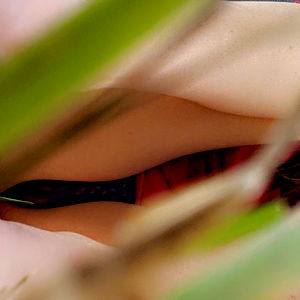 Clockedin MxLF photo