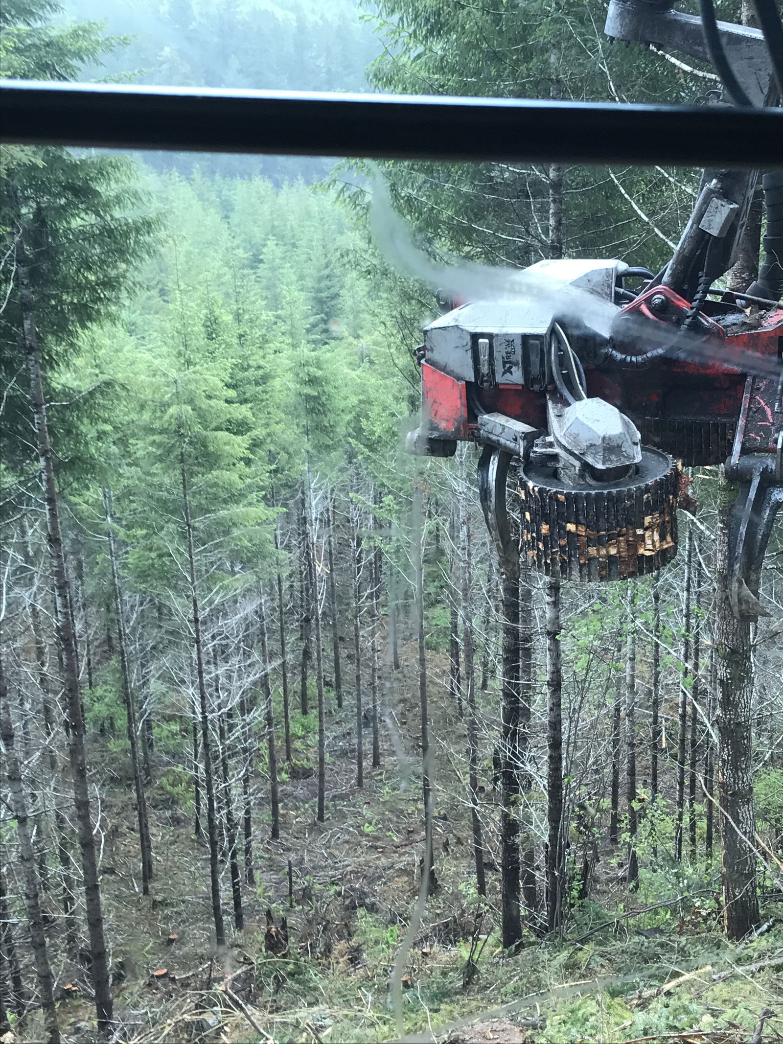 Matthew McKnight photo