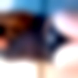 โจ I'm Sabri โจ photo