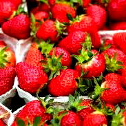 Strawberry photo