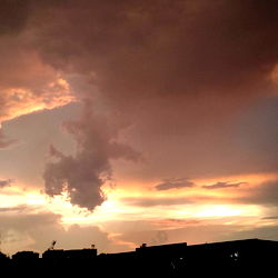 Mercedes Black 🩵🖤 photo