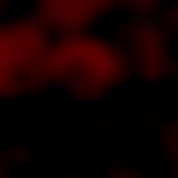 Ama โฅ๏ธ photo