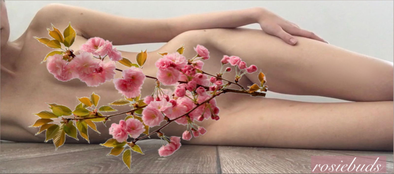 rosie! new &amp; top 8% ✧੭ु photo