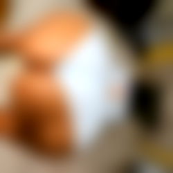 Anastasia ๐ ๐ฆ photo