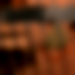 ๐ป S A M M Y photo