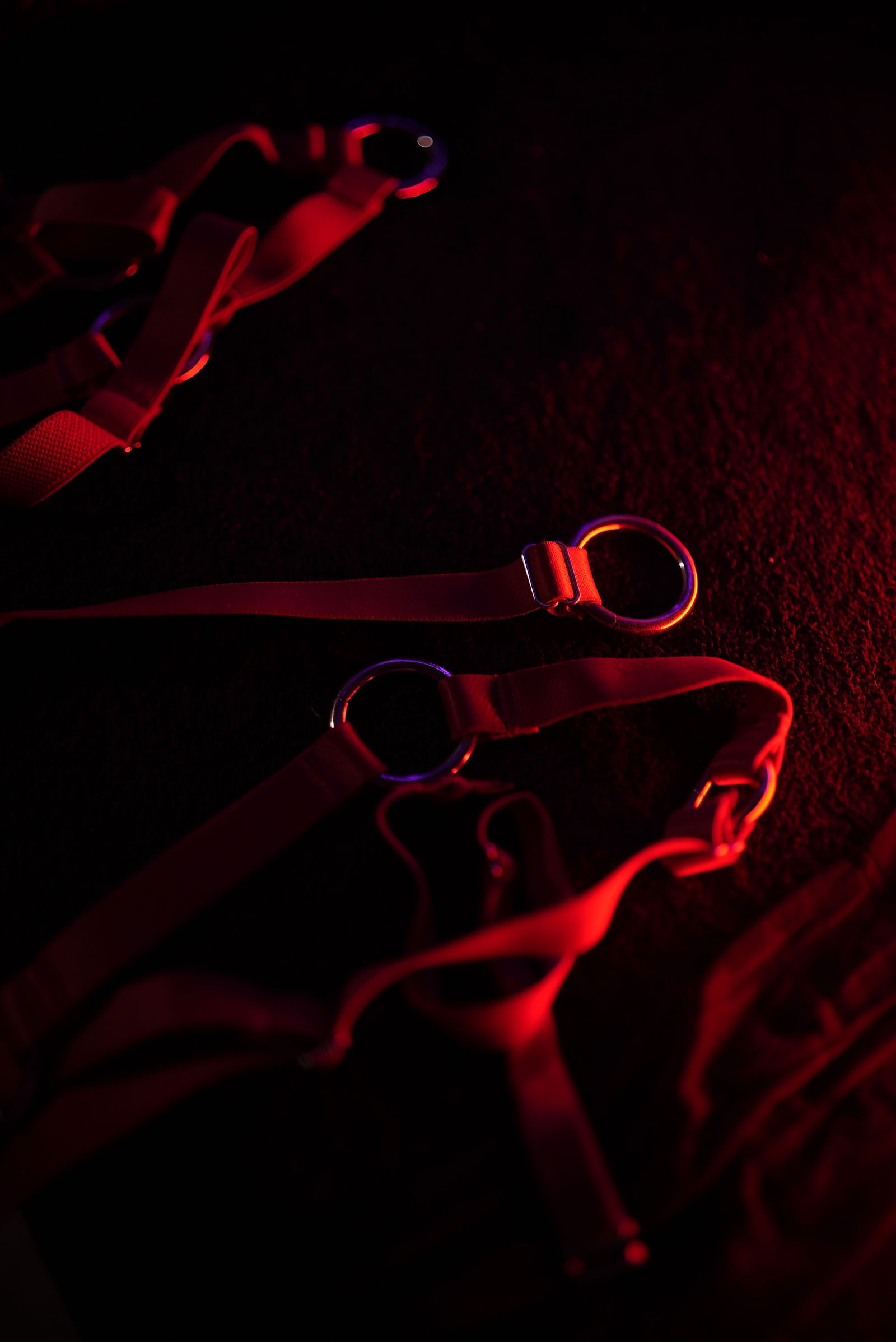 Cammiil Fênix photo