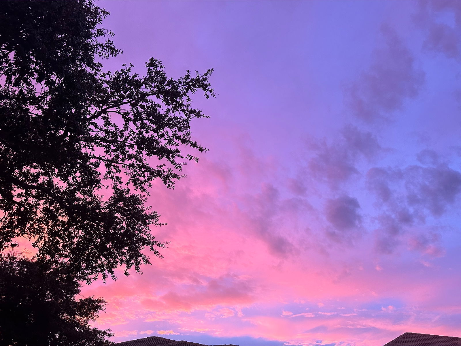 𝓜𝓪𝓻𝔂 ⋆.˚☥🦇 ݁ ɴᴏ ᴘᴘᴠ ˖ִ ࣪ photo