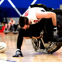 Disastrous Fox photo