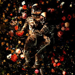 Where is my mind photo