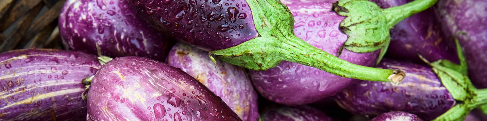 dubamateurvids photo