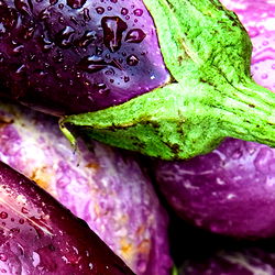 dubamateurvids photo