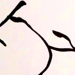 E V I E E S T E L L E photo