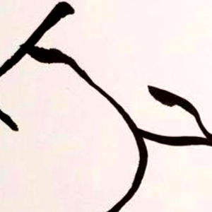 E V I E E S T E L L E photo