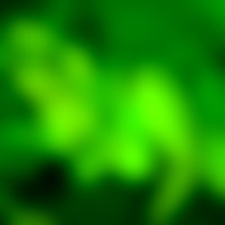 Julietta โค๏ธ photo