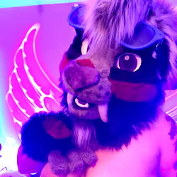 A Naughty Kitty and Her Puppy