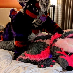 A Naughty kitty photo