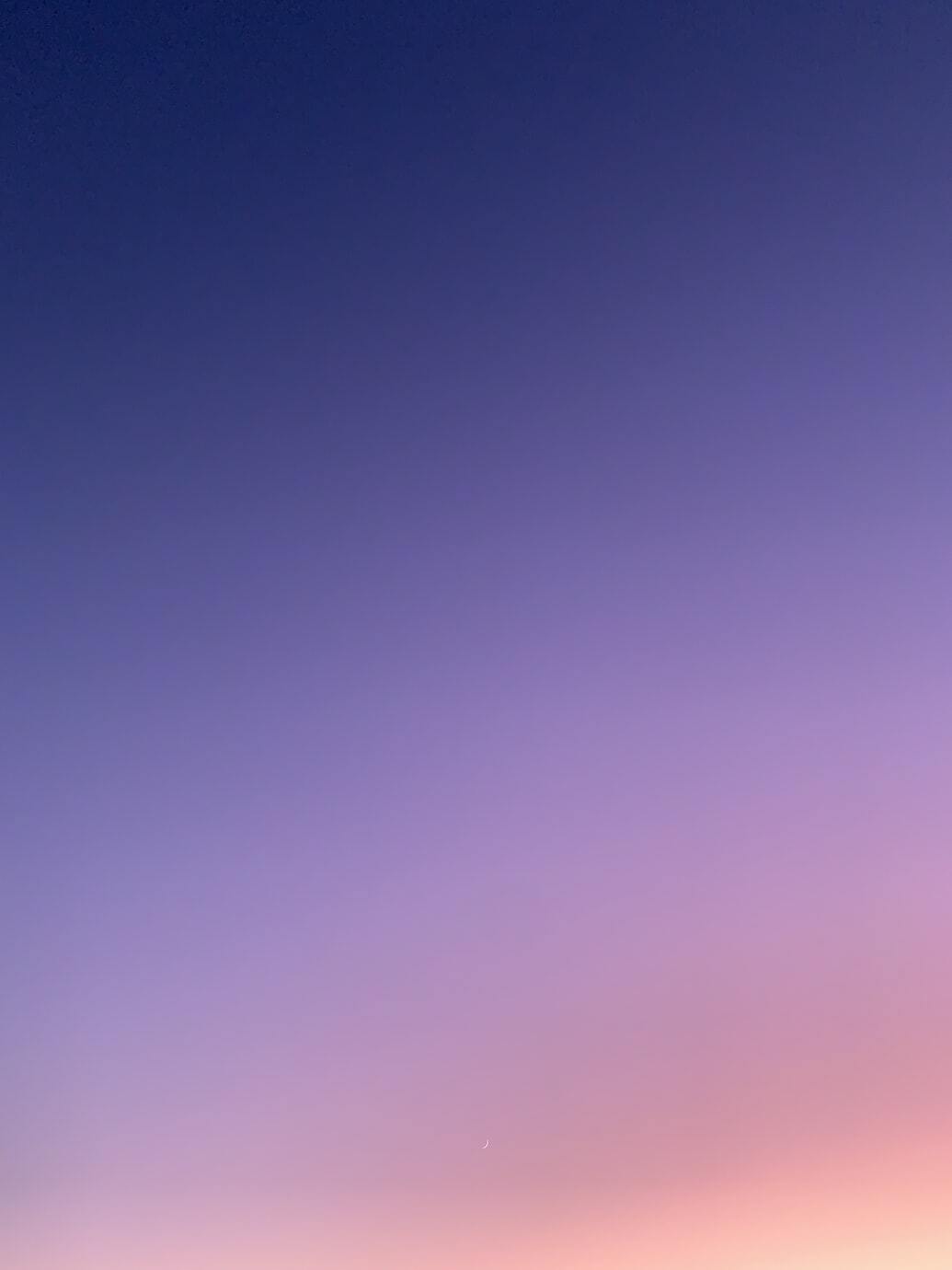 Del Writes Erotica photo