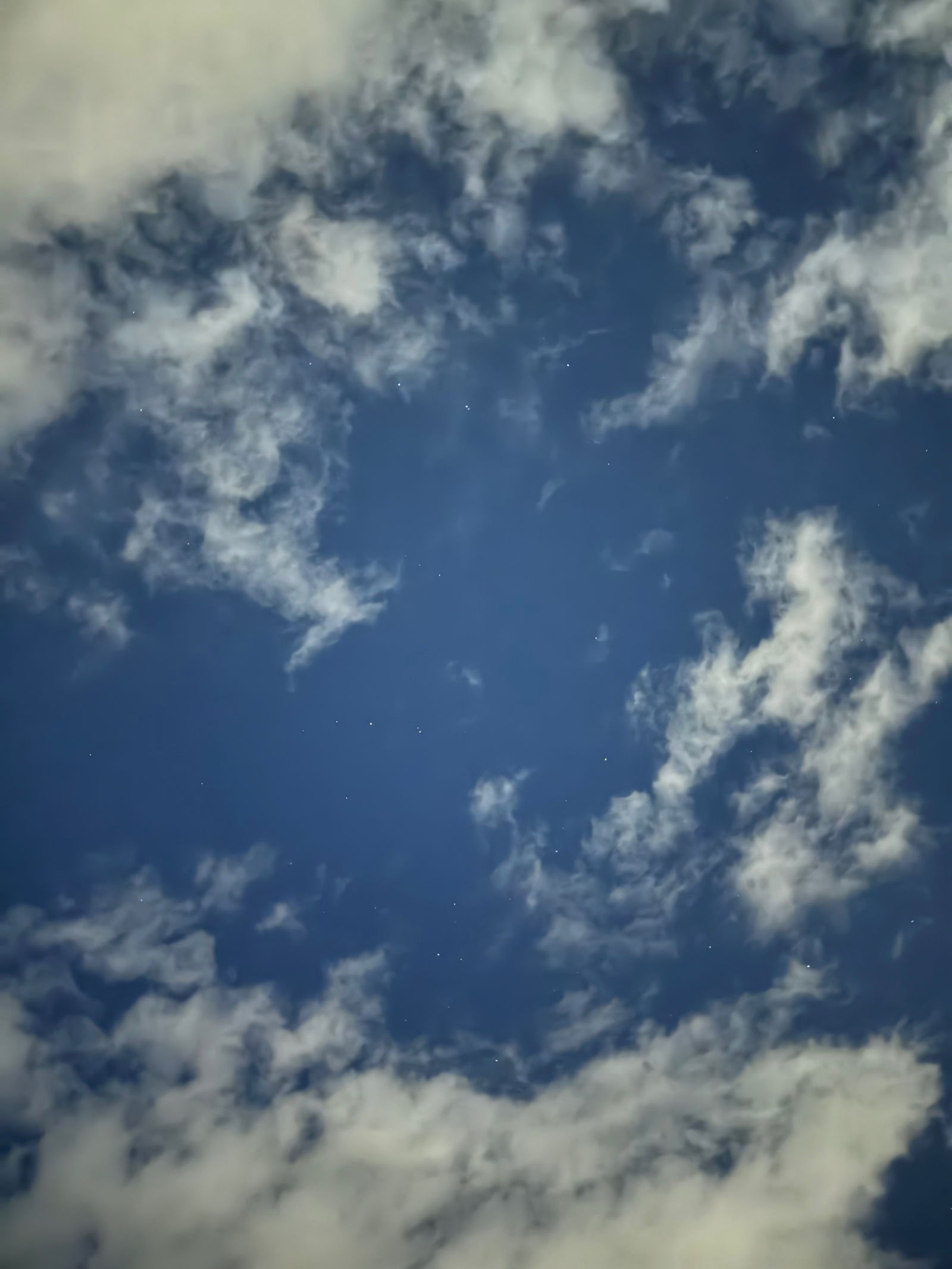 Blondie &amp; Hunter photo